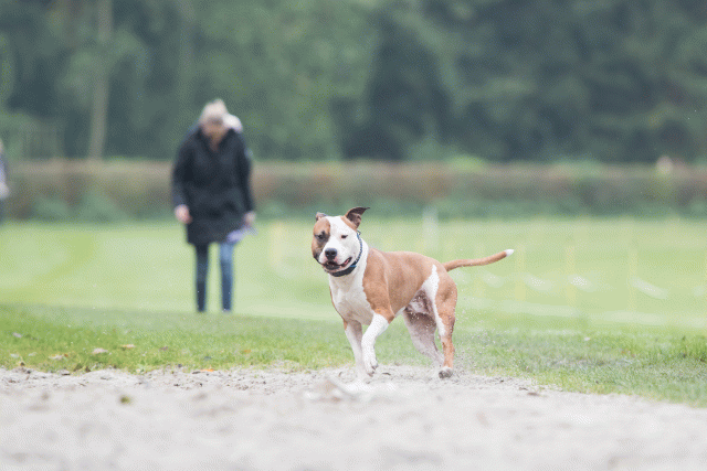 Bo4I7872 30267206870 O