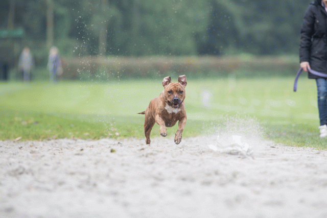 Bo4I7838 30267212730 O