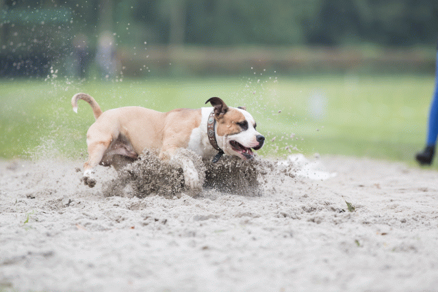 Bo4I7827 30267216130 O