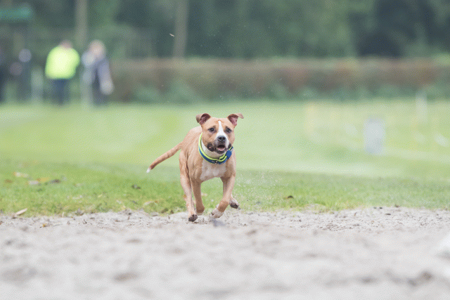 Bo4I7791 30267230880 O