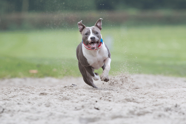 Bo4I7758 30267237480 O