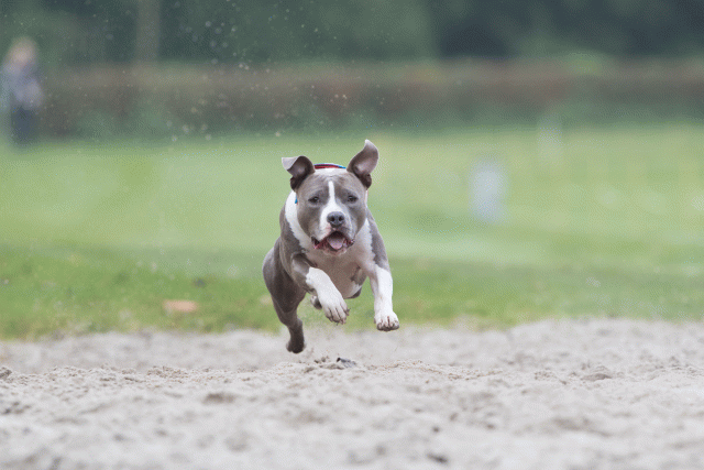 Bo4I7757 30267238230 O