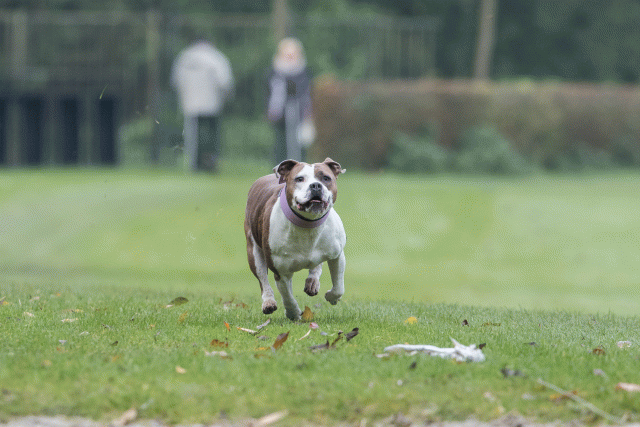 Bo4I7743 30267241230 O