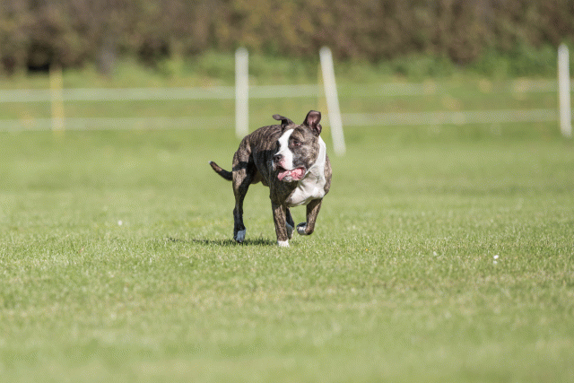 Bo4I8180 30449418462 O