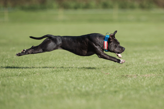 Bo4I8169 30449420622 O