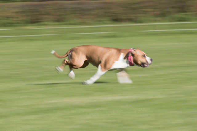 Bo4I8069 30449435802 O