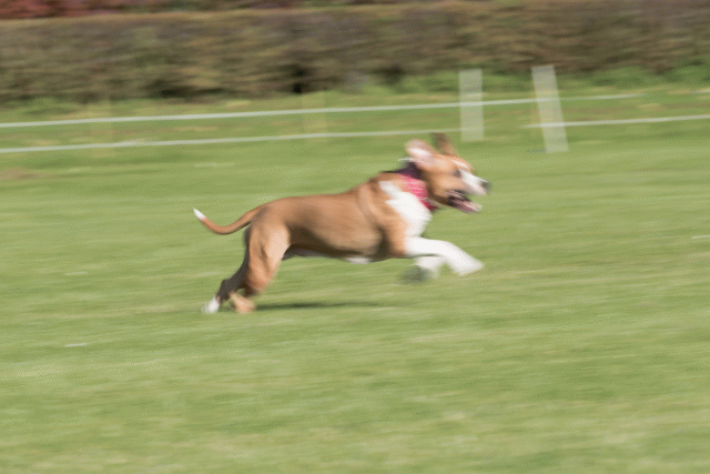 Bo4I8067 30449436242 O