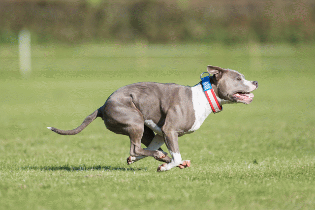 Bo4I8055 30449436802 O