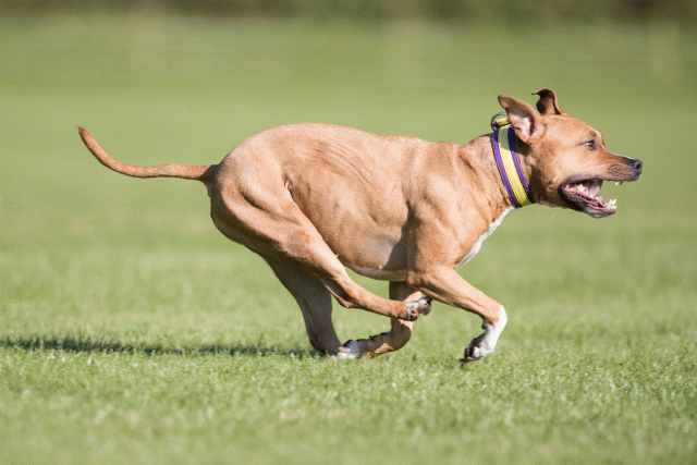 Bo4I7984 30449446592 O