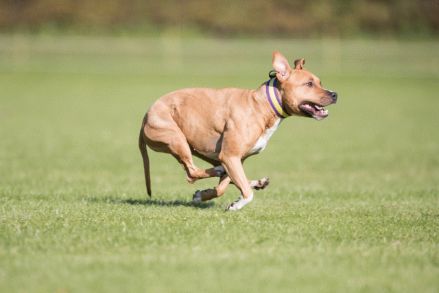 Bo4I7982 30449447522 O