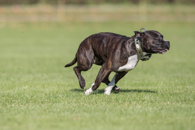 Bo4I7957 30449450412 O