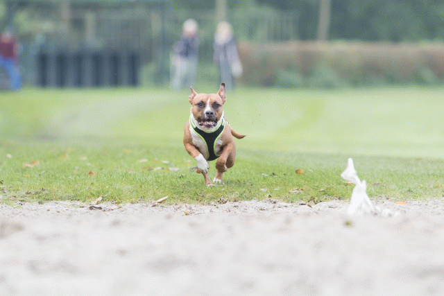 Bo4I7896 30449456022 O