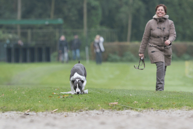 Bo4I7764 30449460982 O