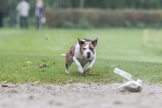 Bo4I7746 30449461572 O