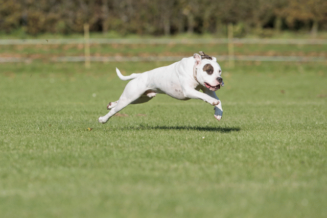 Bo4I8245 30478289301 O