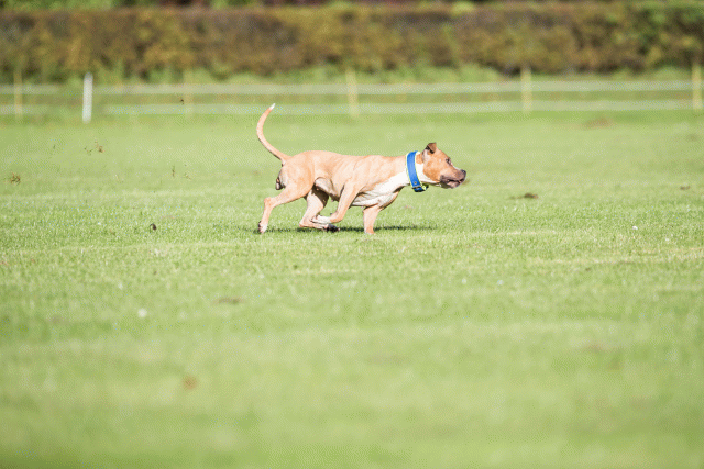 Bo4I7937 30478332351 O