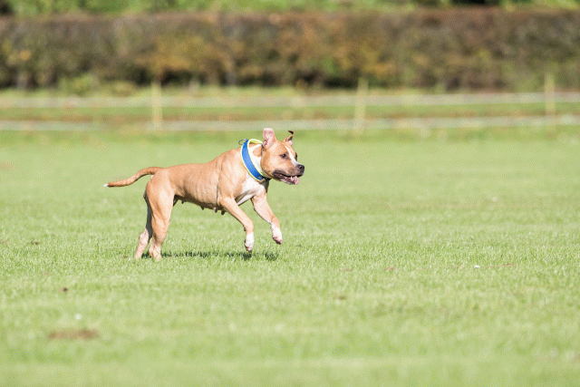 Bo4I7936 30478332591 O