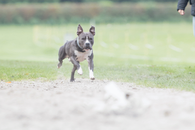 Bo4I7912 30478341281 O