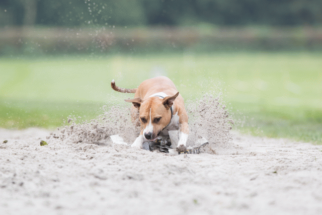 Bo4I7884 30478346521 O