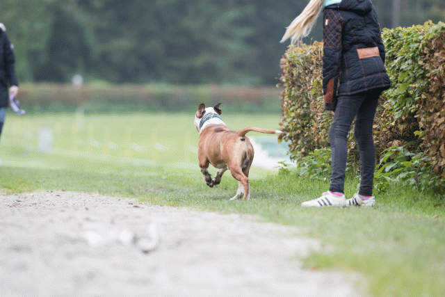 Bo4I7874 30478347761 O