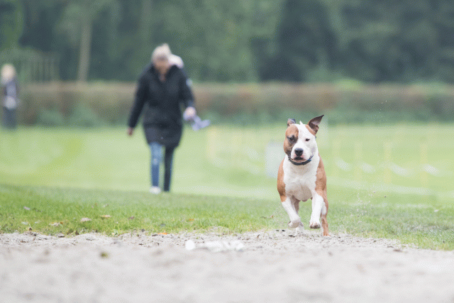 Bo4I7870 30478349711 O