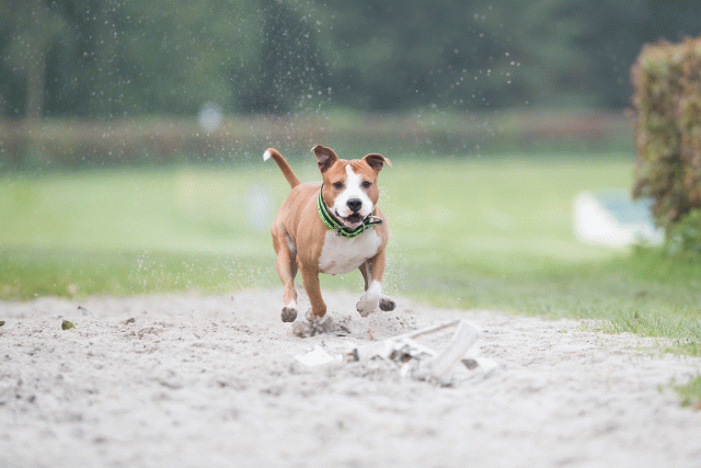 Bo4I7860 30478352001 O