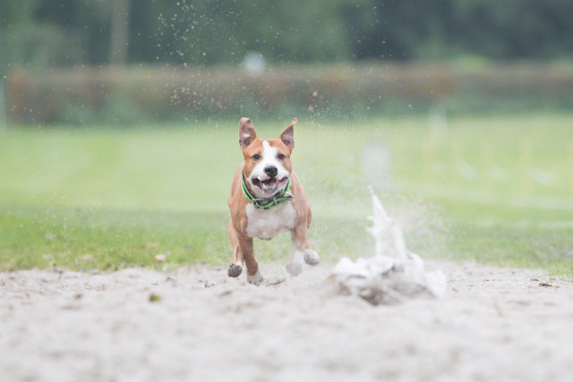 Bo4I7857 30478352661 O