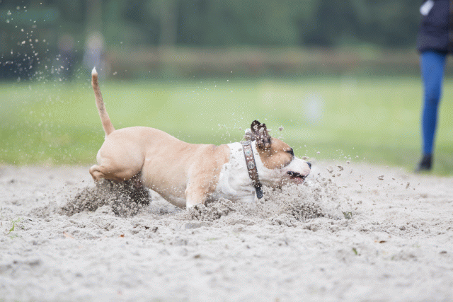 Bo4I7828 30478356711 O