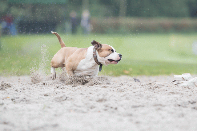 Bo4I7825 30478357501 O