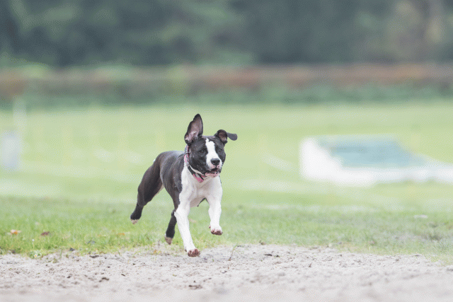 Bo4I7727 30478366381 O