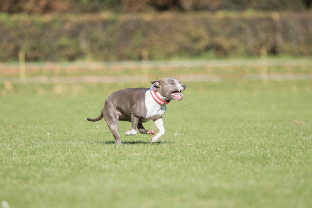 Bo4I8049 30529917366 O