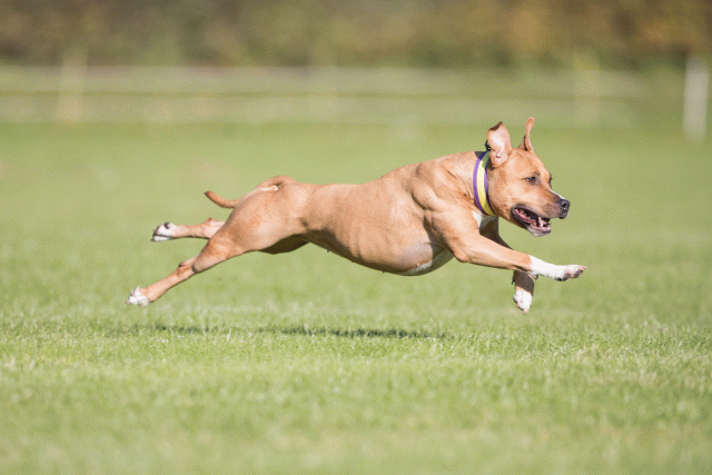 Bo4I7981 30529928356 O