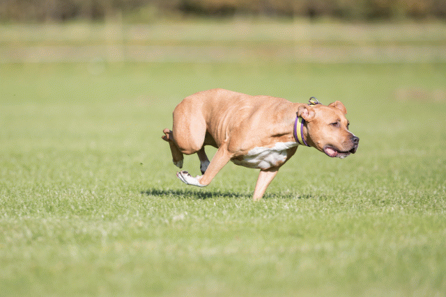 Bo4I7980 30529928696 O