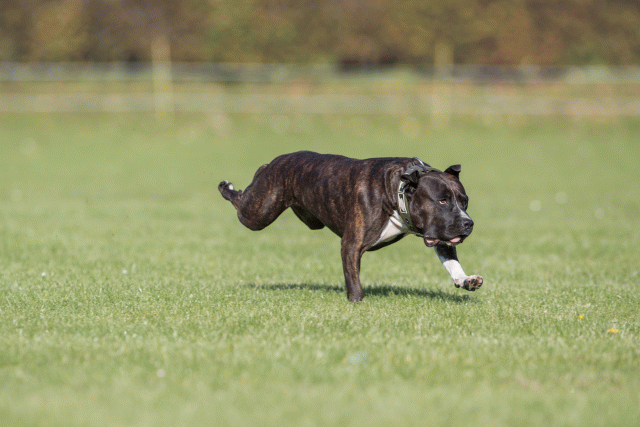 Bo4I7955 30529932506 O