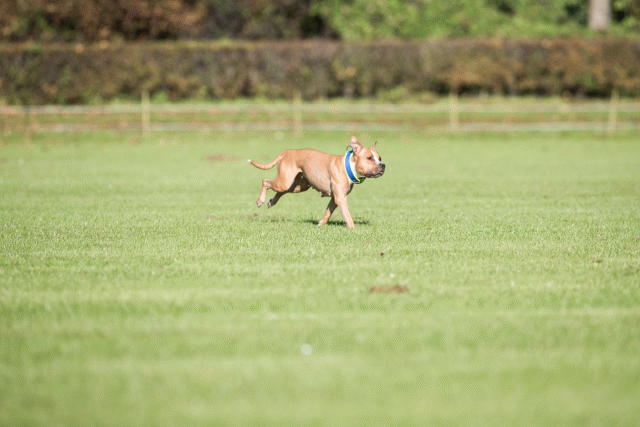 Bo4I7935 30529937416 O