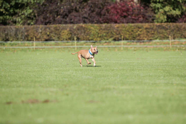 Bo4I7934 30529938646 O