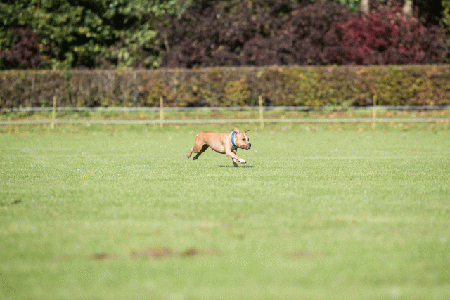 Bo4I7933 30529938836 O