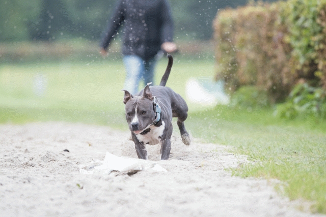 Bo4I7920 30529942146 O