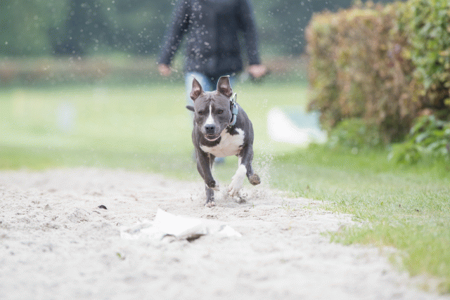 Bo4I7919 30529942516 O