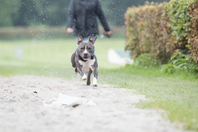 Bo4I7918 30529942596 O