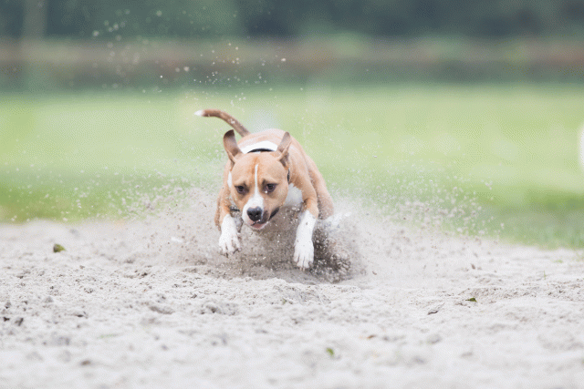 Bo4I7885 30529949846 O