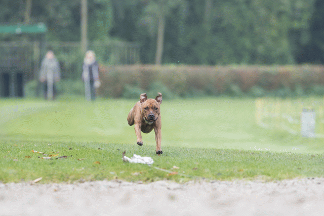 Bo4I7832 30529959436 O