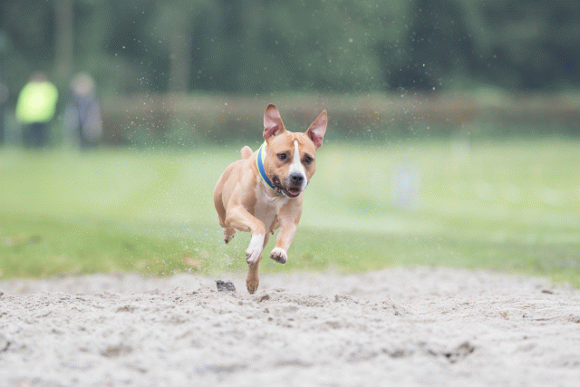 Bo4I7795 30529967336 O