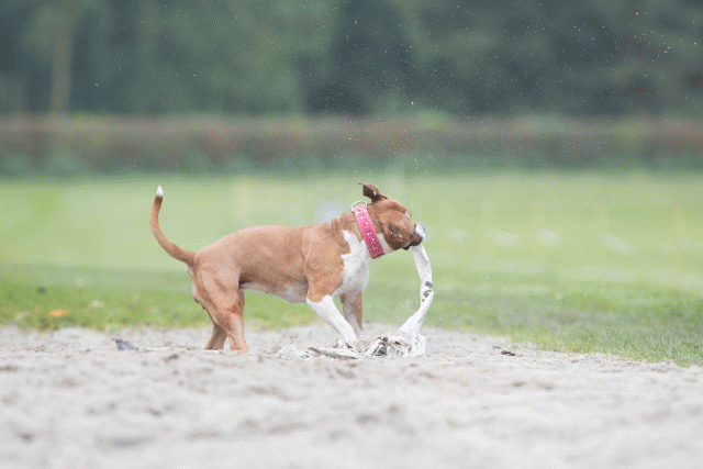 Bo4I7778 30529970586 O