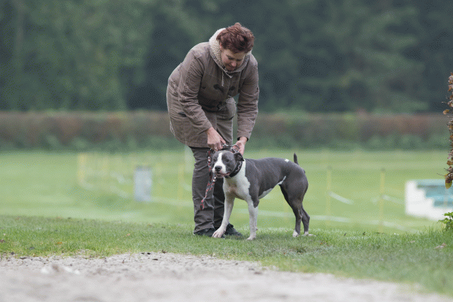 Bo4I7765 30529973436 O