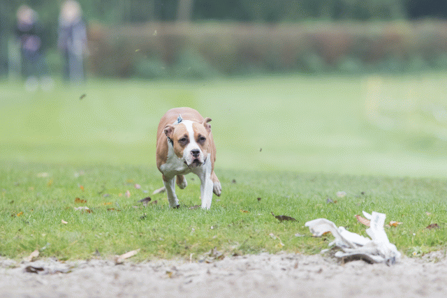 Bo4I7731 30529979266 O