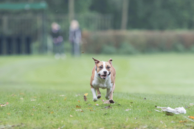 Bo4I7730 30529980916 O