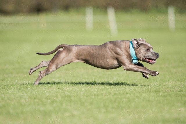 Bo4I8221 30566171195 O