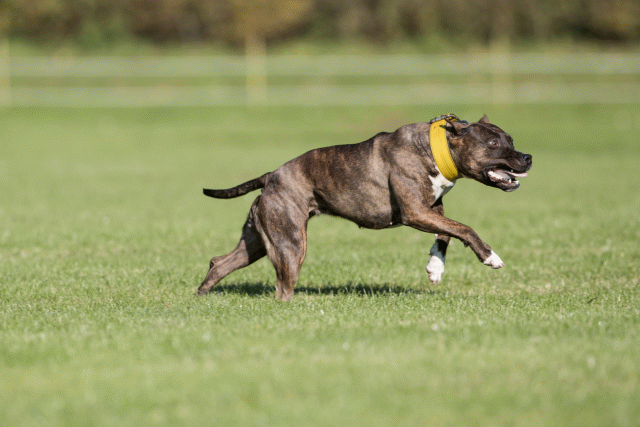 Bo4I8212 30566172315 O