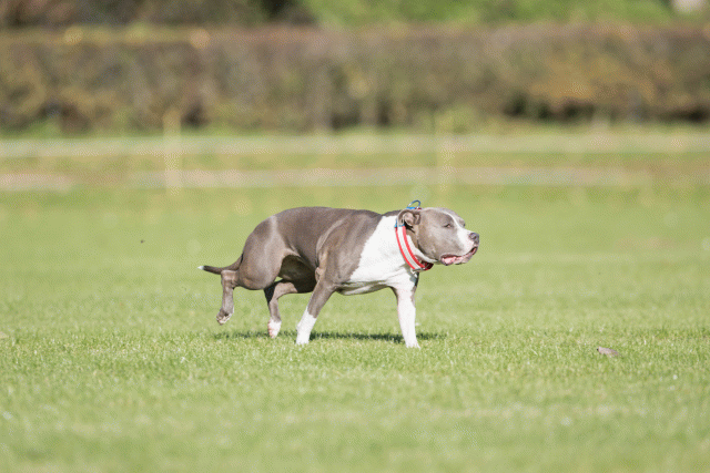 Bo4I8050 30566201265 O